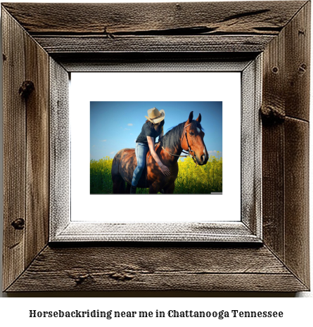 horseback riding near me in Chattanooga, Tennessee